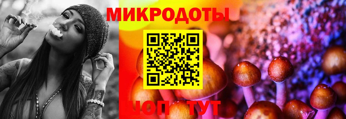 Салават  Псилоцибиновые грибы MAGIC MUSHROOMS  Вход с VPN 